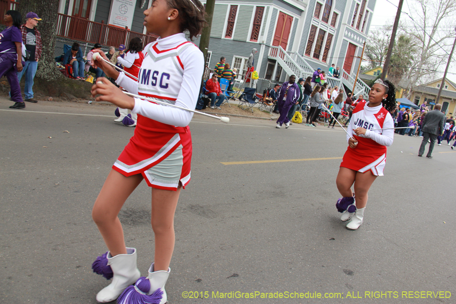 Krewe-of-Okeanos-2015-17692