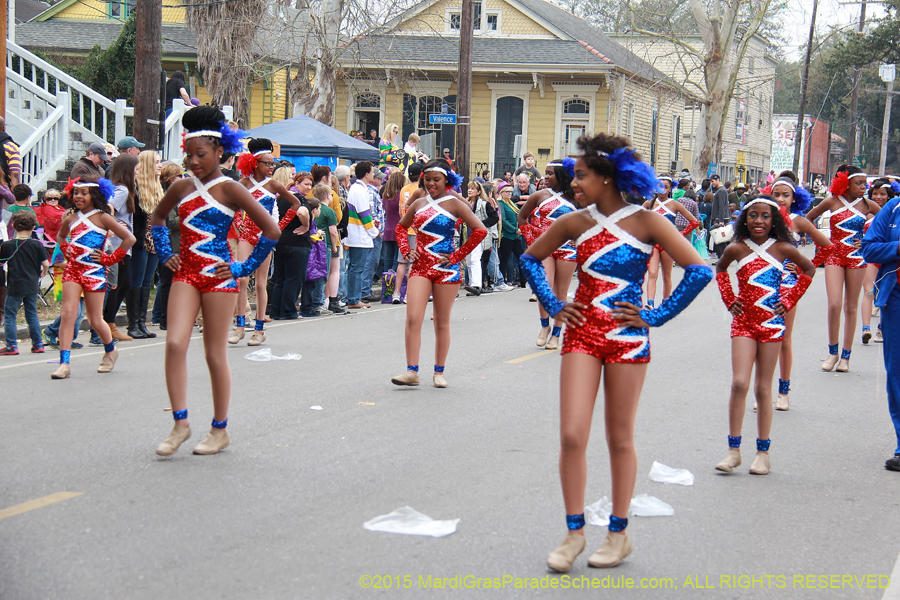 Krewe-of-Okeanos-2015-17735