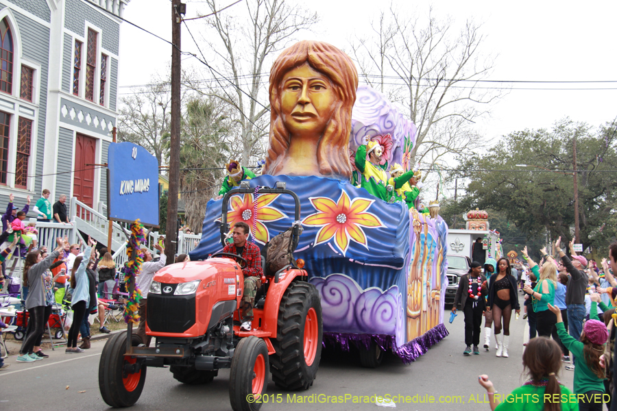 Krewe-of-Okeanos-2015-17736