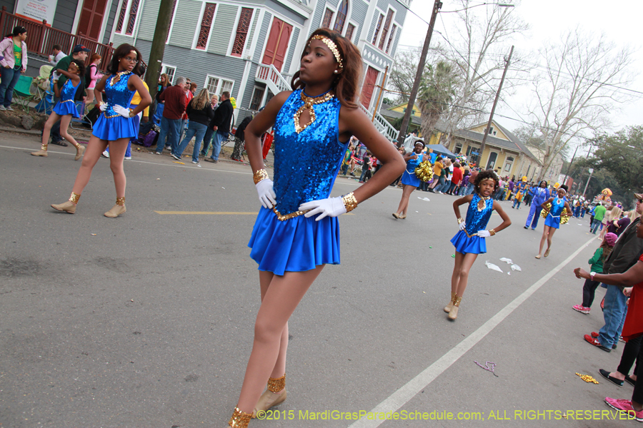 Krewe-of-Okeanos-2015-17749