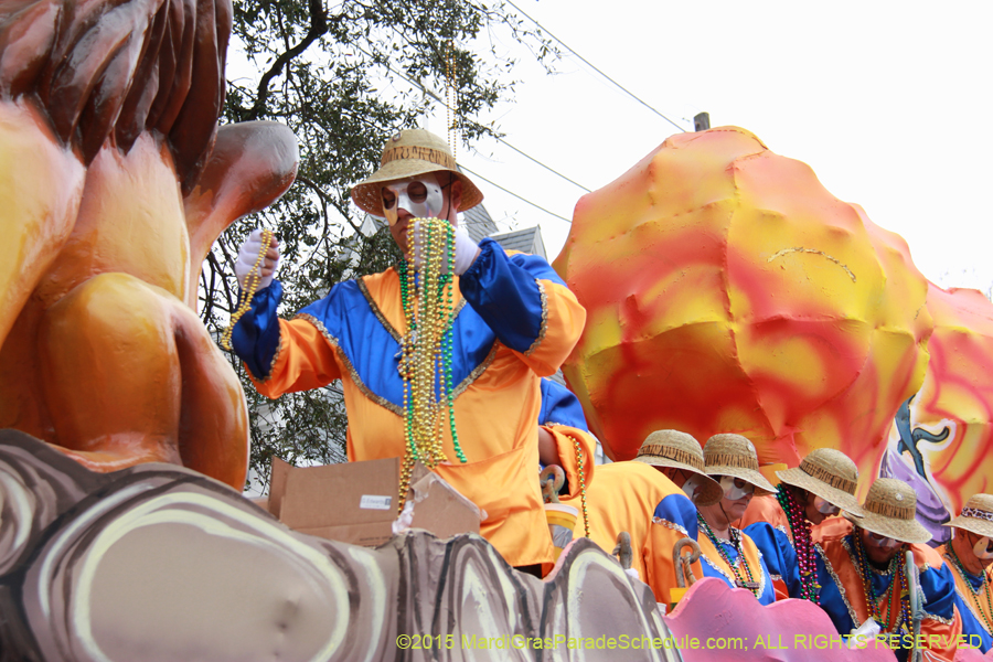 Krewe-of-Okeanos-2015-17753