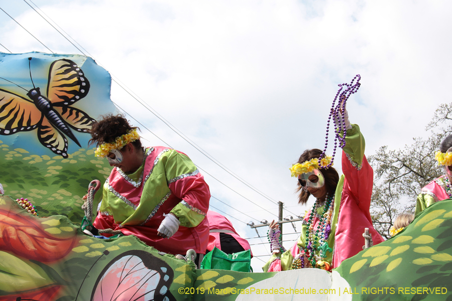 Krewe-of-Okeanos-2019-008002