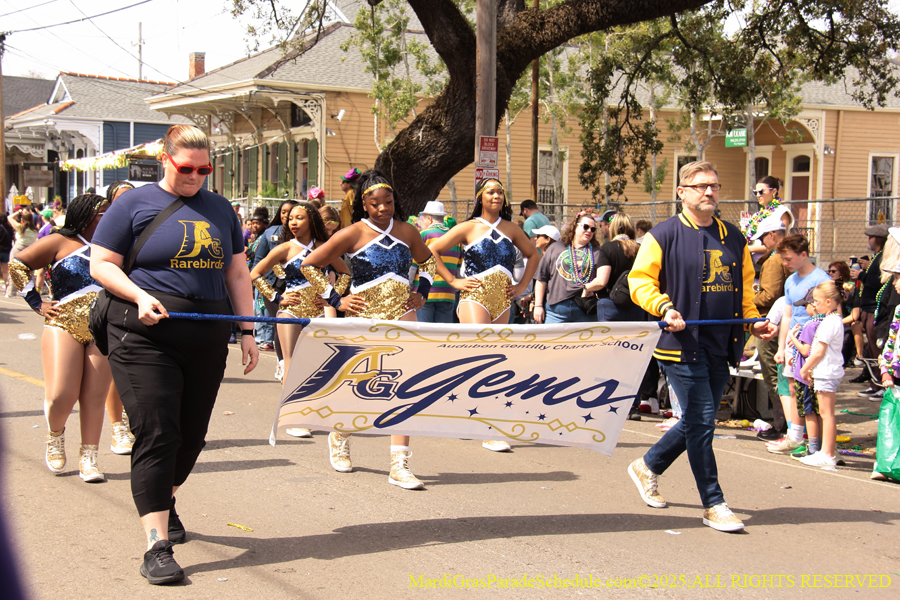 Krewe-of-Okeanos-2025-1676