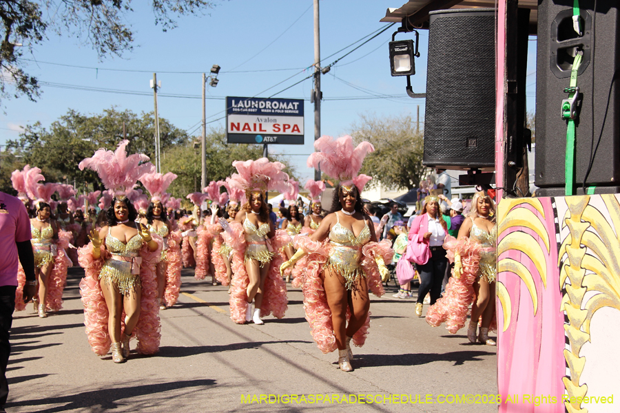 Krewe-of-Okeanos-2026-8543