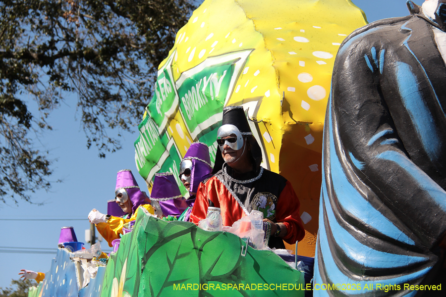 Krewe-of-Okeanos-2026-8599
