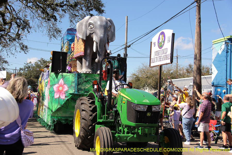 Krewe-of-Okeanos-2026-8617