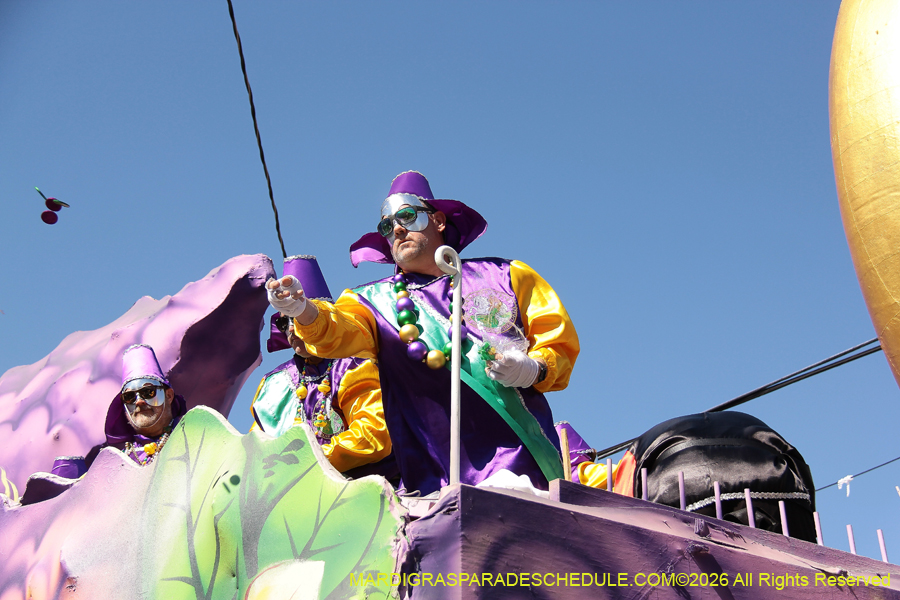 Krewe-of-Okeanos-2026-8646