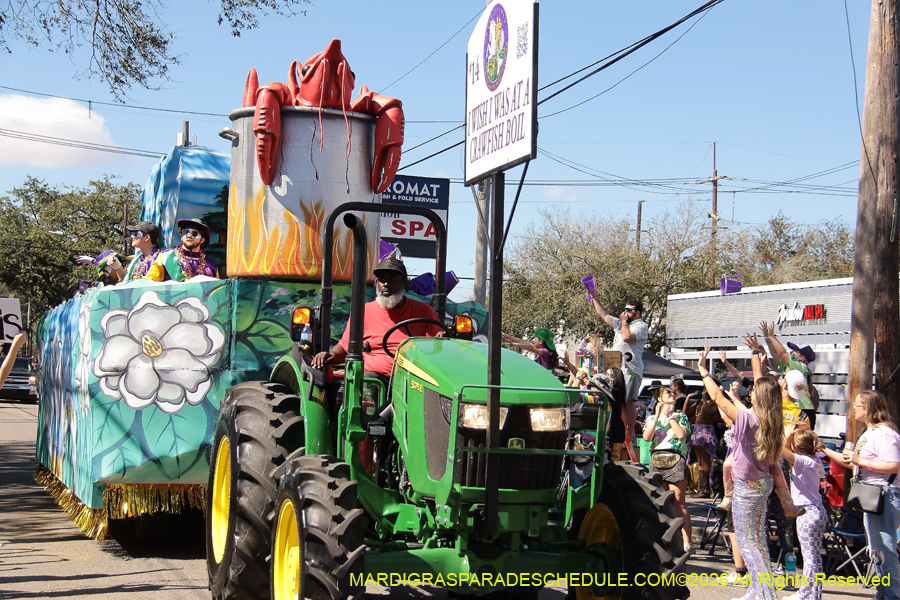 Krewe-of-Okeanos-2026-8681