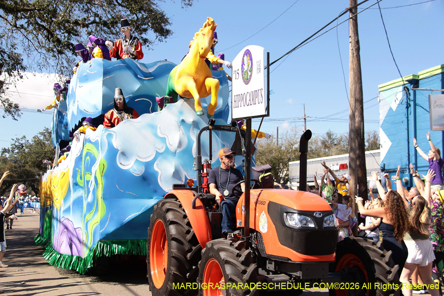 Krewe-of-Okeanos-2026-8690