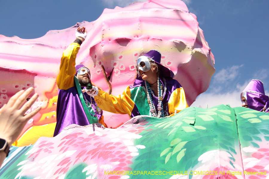 Krewe-of-Okeanos-2026-8707