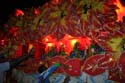 Krewe-of-Orpheus-2008-New-Orleans-Mardi-Gras-Parade-0673