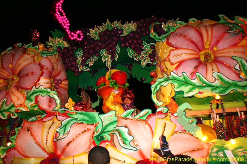 2009-Krewe-of-Orpheus-presents-The-Whimsical-World-of-How-and-Why-Mardi-Gras-New-Orleans-1660