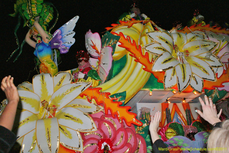 Krewe-of-Orpheus-2011-0484