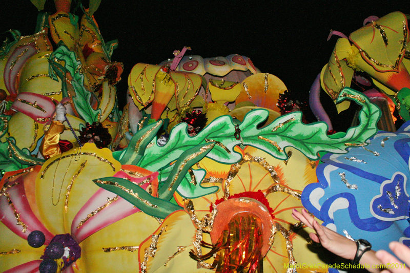 Krewe-of-Orpheus-2011-0516