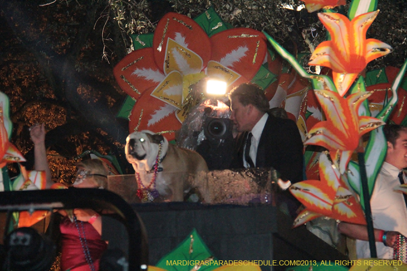 Krewe-of-Orpheus-2013-1125