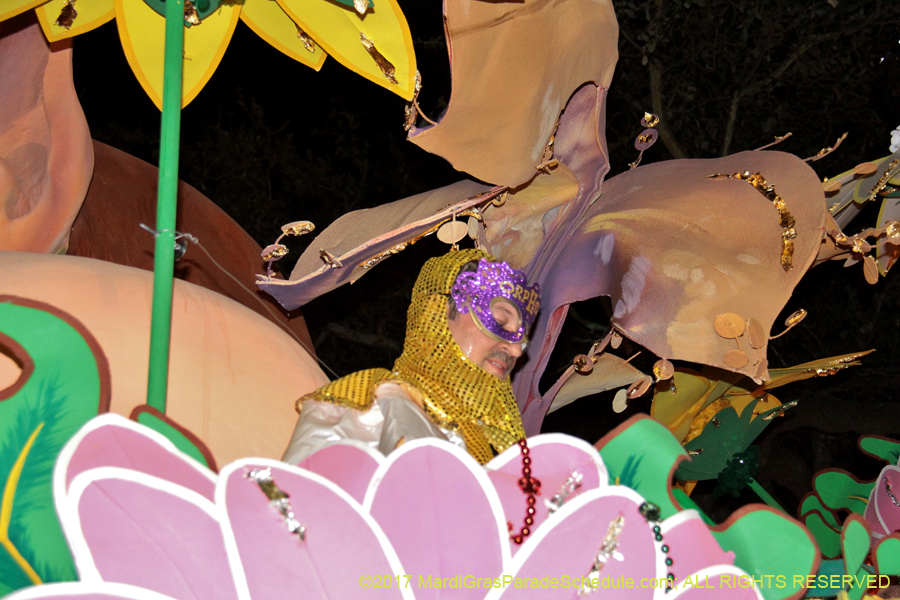 Krewe-of-Orpheus-2017-11599