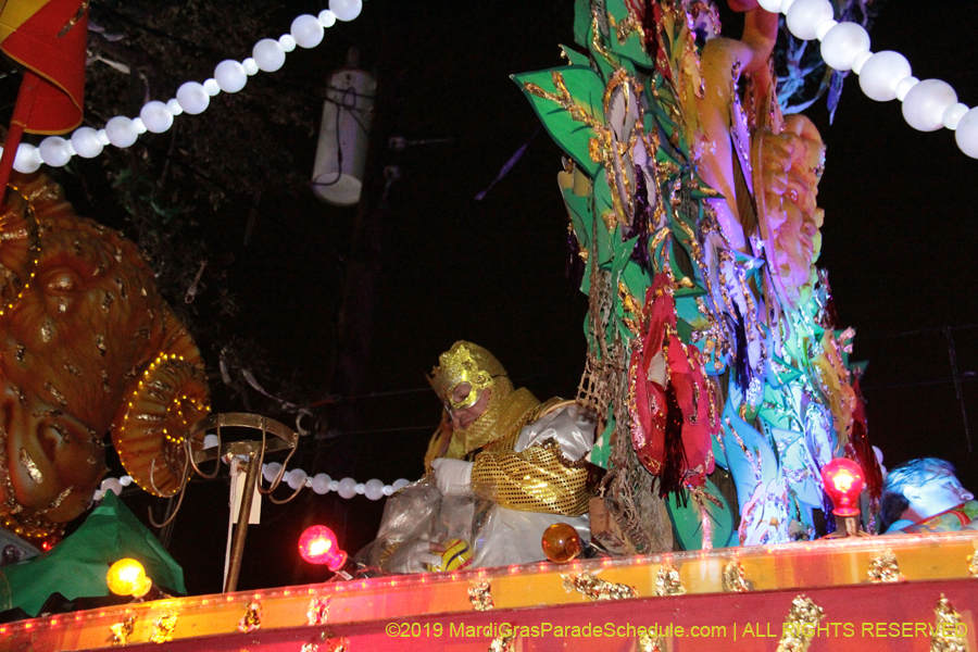 Krewe-of-Orpheus-2019-009745
