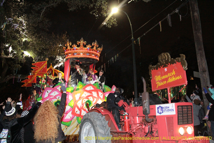 Krewe-of-Orpheus-2019-009766