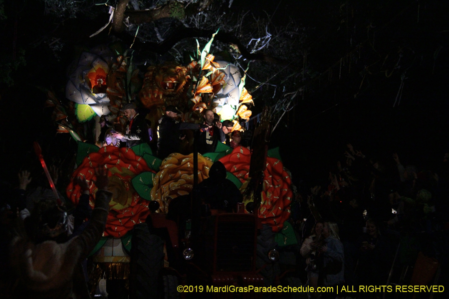 Krewe-of-Orpheus-2019-009772