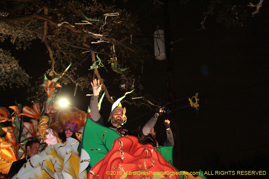 Krewe-of-Orpheus-2019-009775