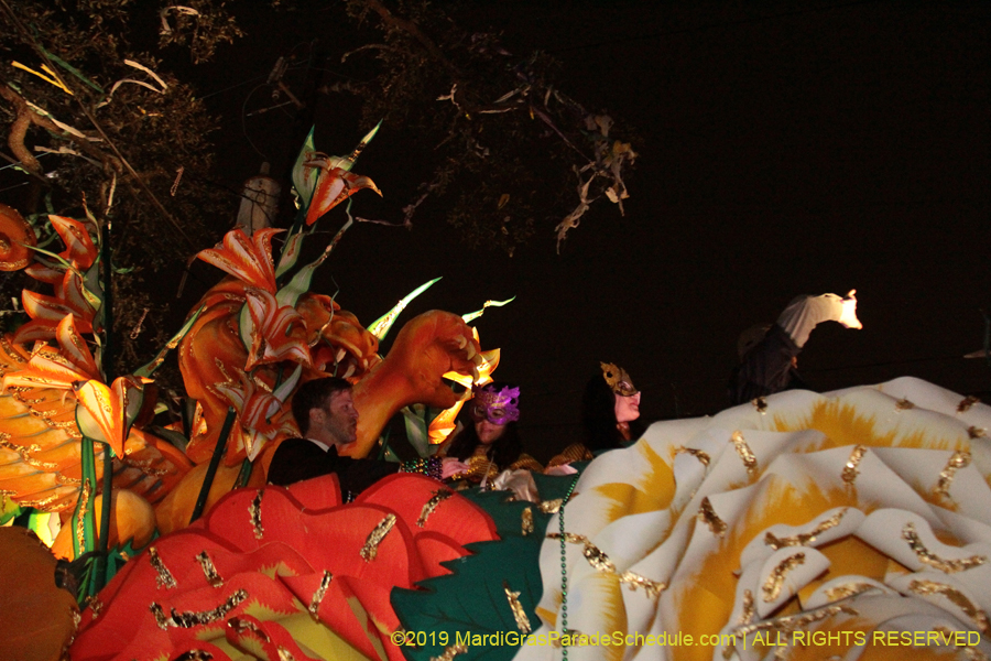 Krewe-of-Orpheus-2019-009776