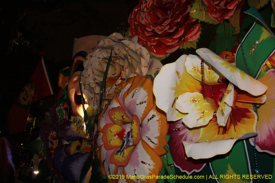 Krewe-of-Orpheus-2019-009819