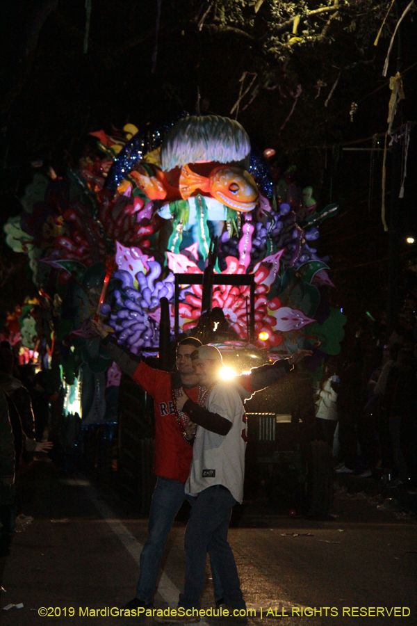 Krewe-of-Orpheus-2019-009828