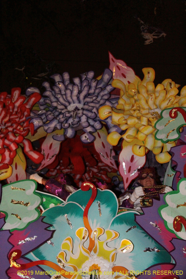 Krewe-of-Orpheus-2019-009833