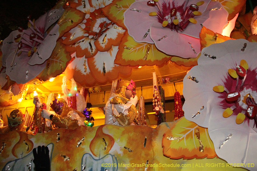 Krewe-of-Orpheus-2019-009849