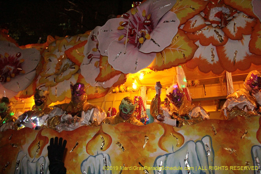 Krewe-of-Orpheus-2019-009850