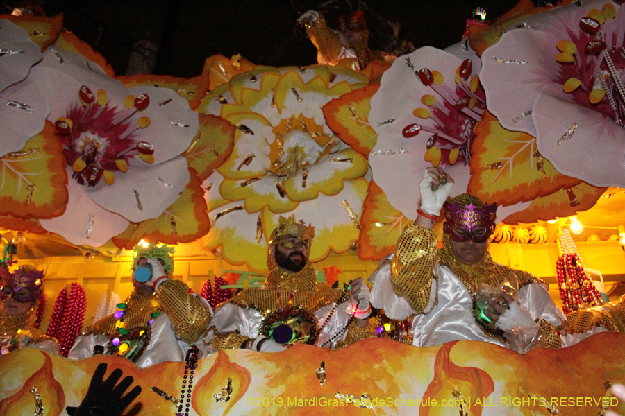 Krewe-of-Orpheus-2019-009851