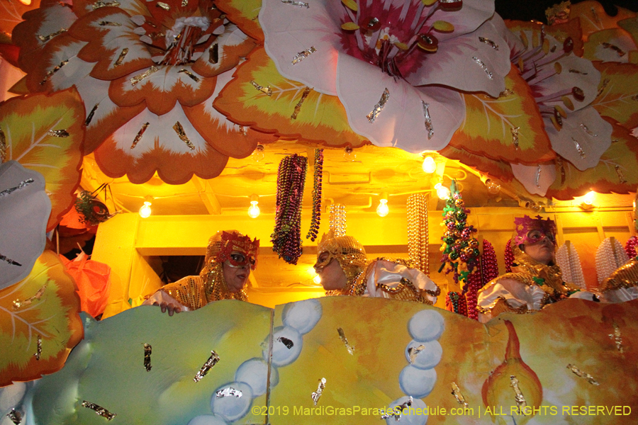 Krewe-of-Orpheus-2019-009852