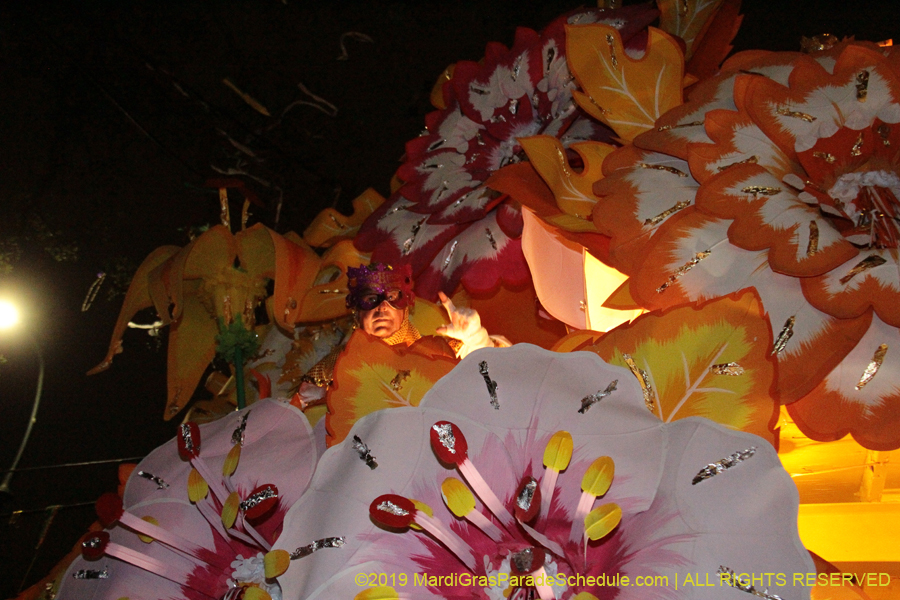 Krewe-of-Orpheus-2019-009853