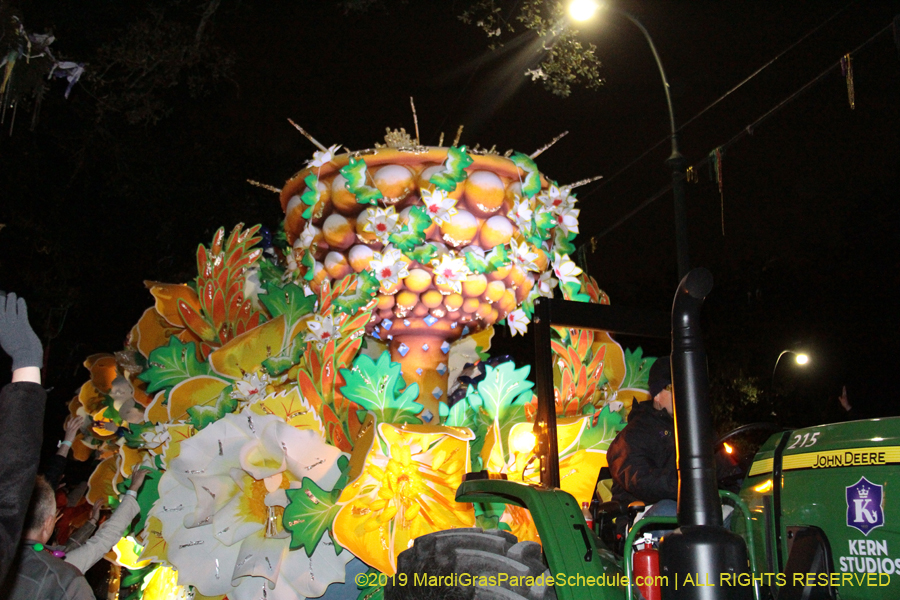 Krewe-of-Orpheus-2019-009859