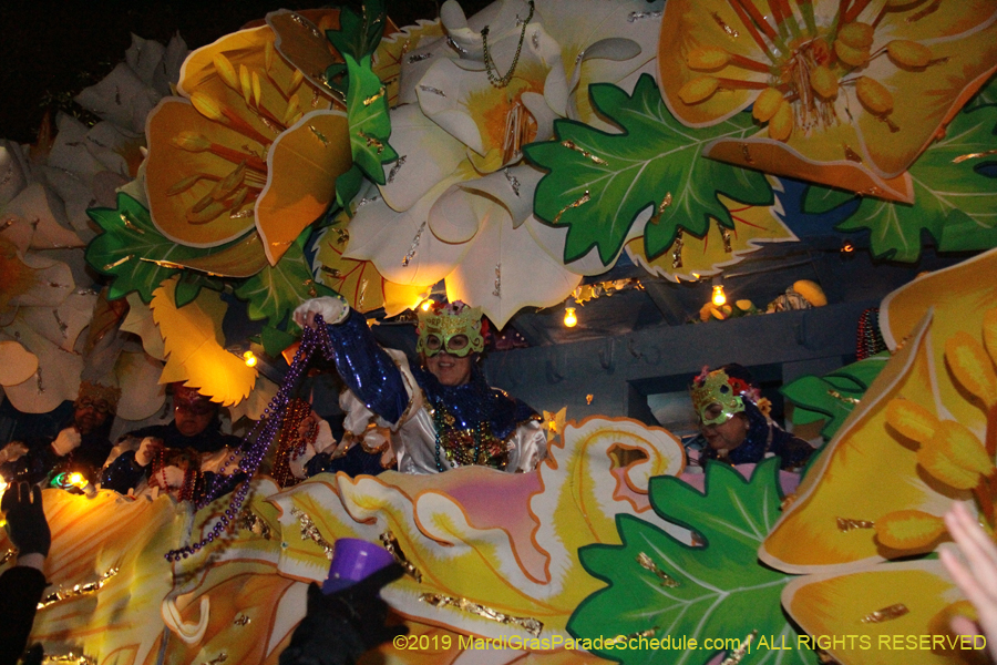 Krewe-of-Orpheus-2019-009860