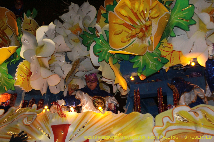 Krewe-of-Orpheus-2019-009861