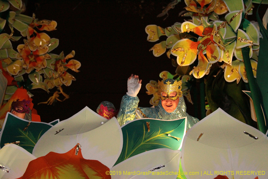 Krewe-of-Orpheus-2019-009869