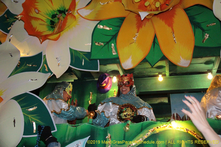 Krewe-of-Orpheus-2019-009873