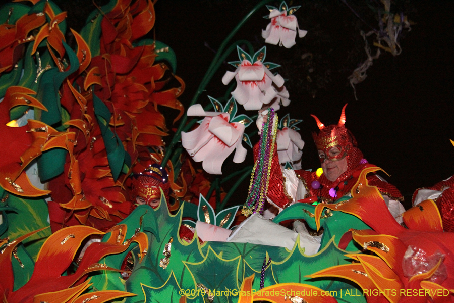 Krewe-of-Orpheus-2019-009882