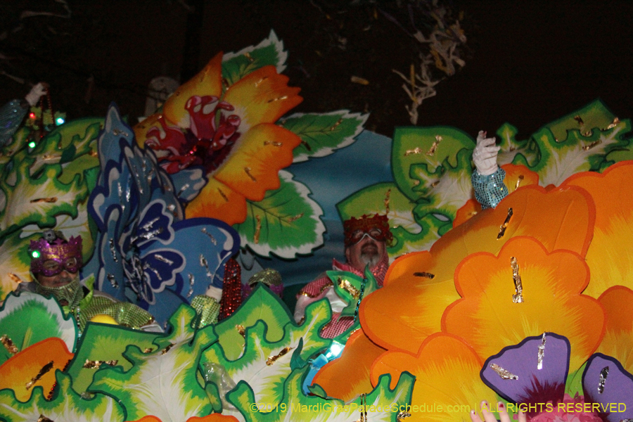 Krewe-of-Orpheus-2019-009907