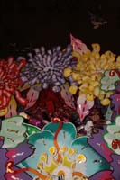 Krewe-of-Orpheus-2019-009833