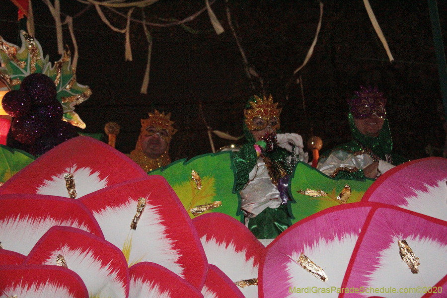 Krewe-of-Orpheus-2020-09009