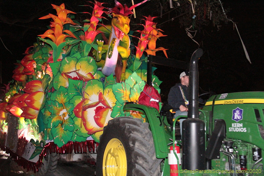 Krewe-of-Orpheus-2020-09286