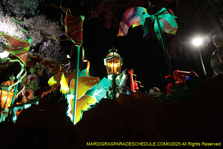 Krewe-of-Orpheus-2025-2731