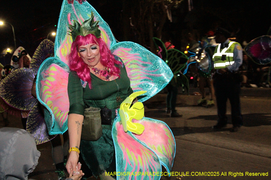Krewe-of-Orpheus-2025-2750