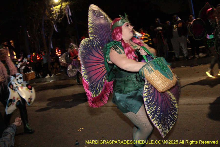 Krewe-of-Orpheus-2025-2751