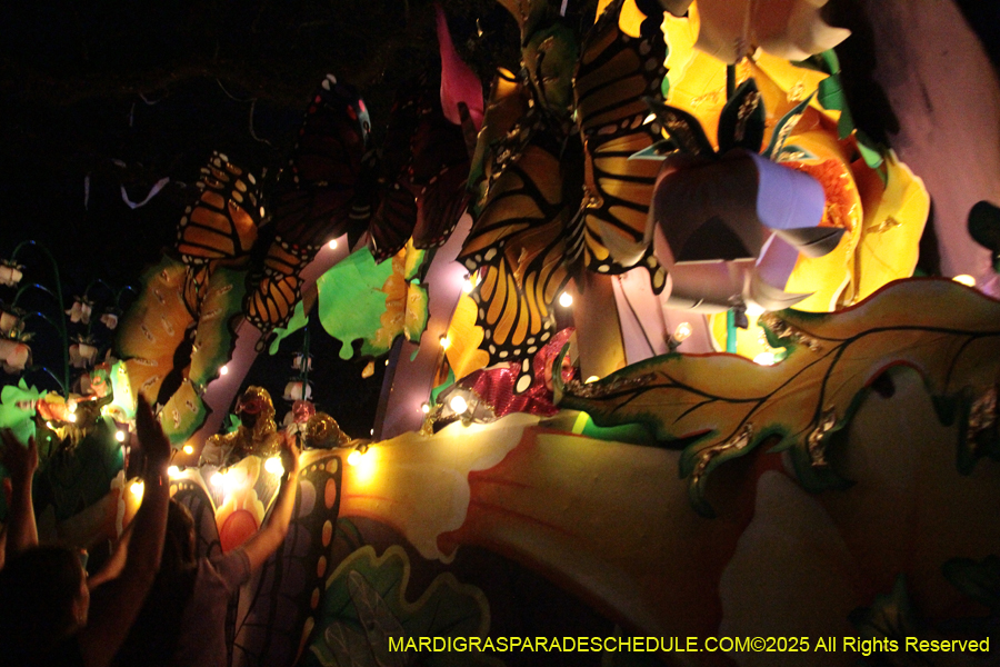 Krewe-of-Orpheus-2025-2779