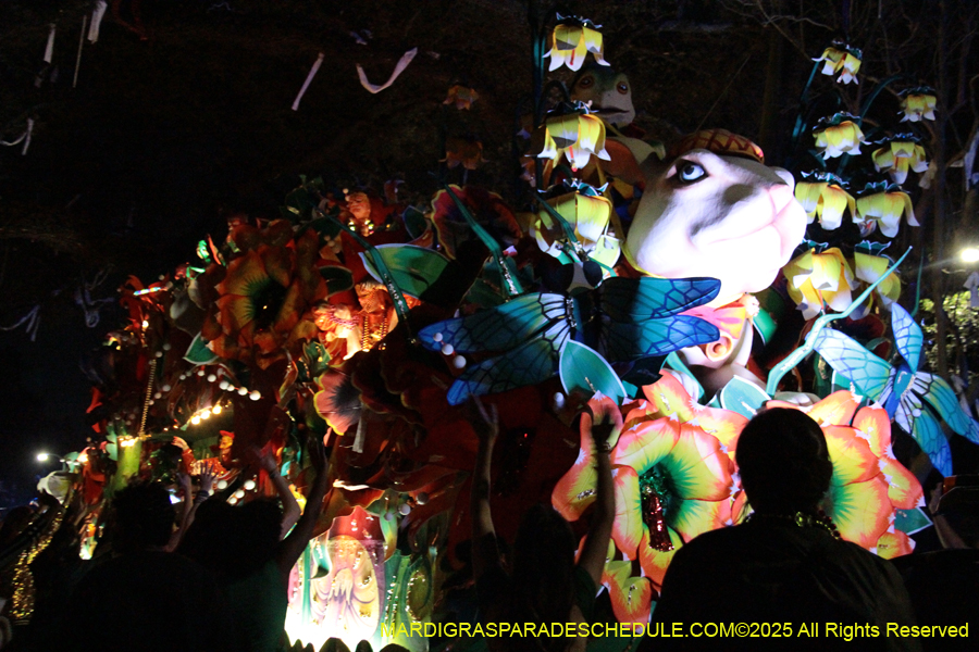 Krewe-of-Orpheus-2025-2783