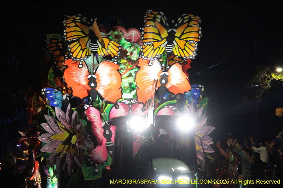 Krewe-of-Orpheus-2025-2793
