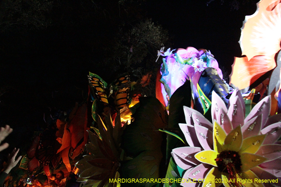 Krewe-of-Orpheus-2025-2794